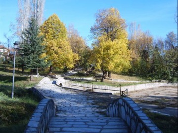 The town of Peshtera