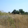 Ruined house with big plot