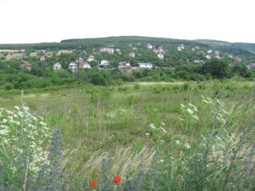 Kostinbrod surroundings