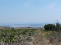 big agricultural plot