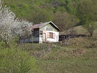 cottage with huge garden