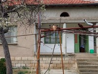 Rural property for sale in northwestern Bulgaria