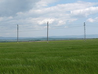 Agricultural land in Pomorie
