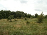 Agricultural plot of land for sale near Sredets