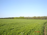 Development land for sale near Shabla