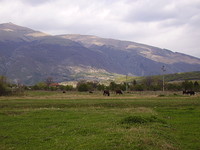 Land for sale near Karlovo