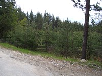Development land for sale near Dobriniste
