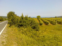Plot with sea view near Nessebar