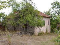 Houses in Berkovitsa