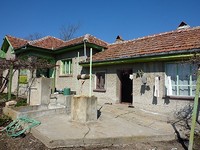 Houses in Polski Trambesh