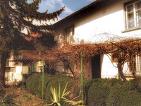 Houses in Elin Pelin