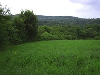 Development land for sale near Albena