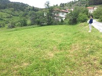 Regulated land in Pamporovo