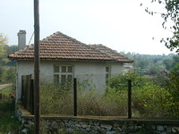 Well Maintained House