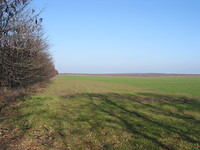 Agricultural land in Kavarna