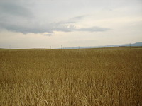 Land for sale near Nessebar