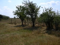 Regulated land in Elhovo