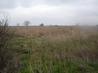 Land At The Sea Side