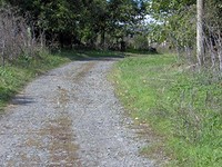 Land Near Strandzha Mountain