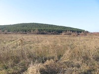 Investment land for sale near Stara Zagora