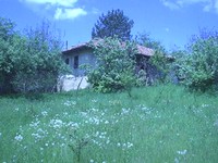 Old House With 3500 Sq.m Garden