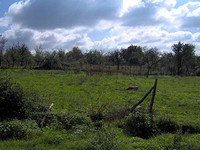 Plot Near Mountain Strandzha