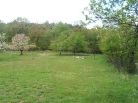 Land In Regulation Near The Beach