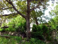 House Near Ski Resort