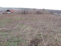 Regulated land in Elhovo