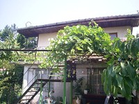 Cosy House By The Lake