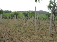 Regulated land in Sliven