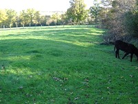 Beautiful Regulated Plot Near Primorsko!!!