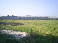 Huge Regulated Land Near The Sea