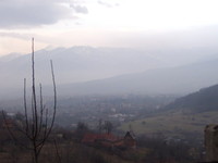 Villas in Berkovitsa