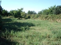 Plot Near The Seaside