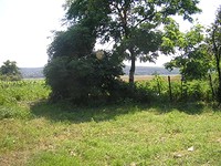 Land for sale near the sea