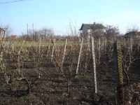 Building Plot Near Sea