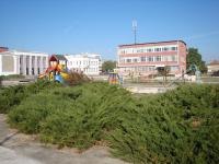 Kostinbrod, Sofia, Bulgaria, information about the town of Kostinbrod