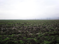 Agricultural plot of land for sale near Pmorie