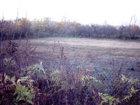 Regulated land in Provadia